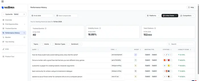 使用 Wellows 的 AI 引用研究示例