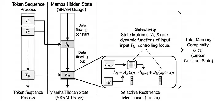 Mamba SSM 内存占用