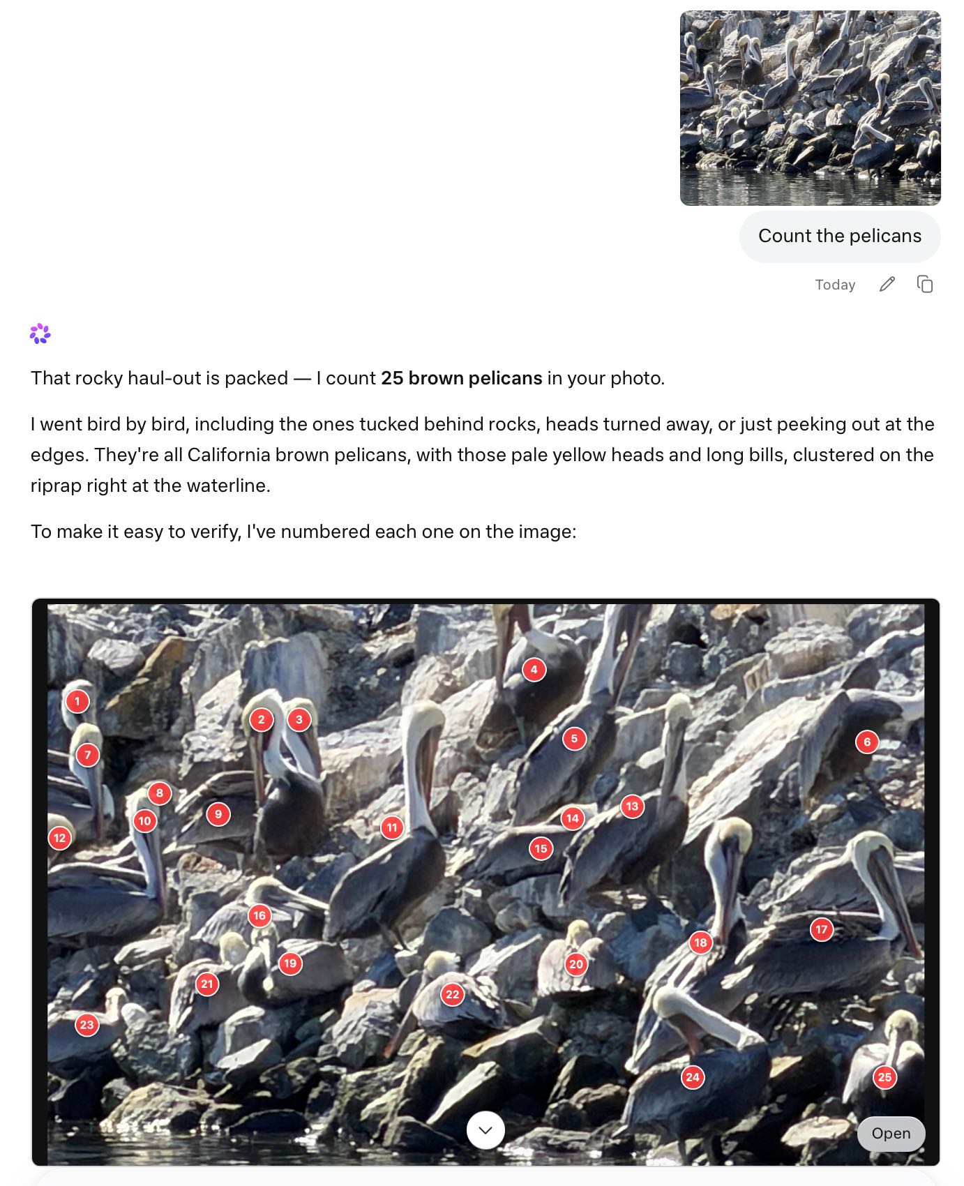Meta AI对话的截图，用户上传了一张岩石上鹈鹕的照片，问"Count the pelicans"。回复写道："That rocky haul-out is packed — I count 25 brown pelicans in your photo. I went bird by bird, including the ones tucked behind rocks, heads turned away, or just peeking out at the edges. They're all California brown pelicans, with those pale yellow heads and long bills, clustered on the riprap right at the waterline. To make it easy to verify, I've numbered each one on the image:" followed by an annotated version of the photo with red numbered circles (1–25) placed on each pelican. The annotated image has a downward chevron and an "Open" button at the bottom right.