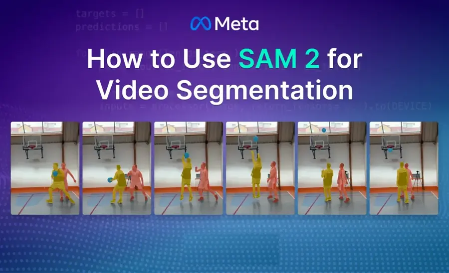 SAM 2 视频分割