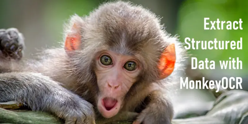 用MonkeyOCR提取结构化数据