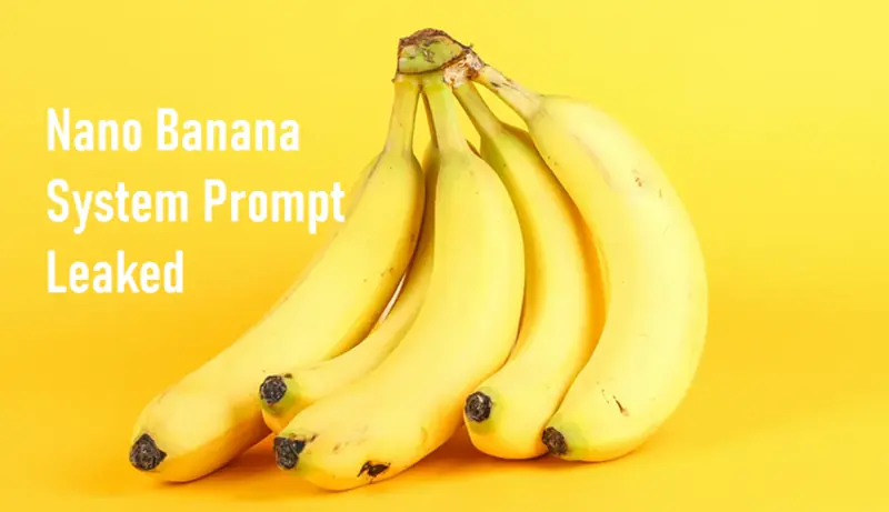 Nano Banana 系统提示(泄露)