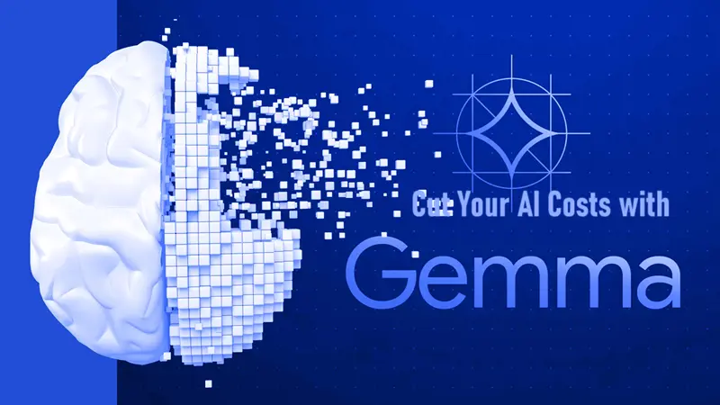 用Gemma降低你的AI成本