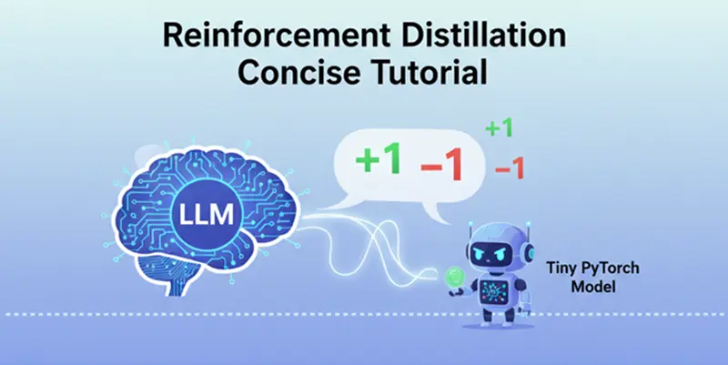 强化蒸馏简明教程