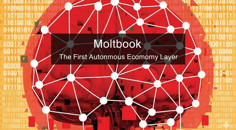 Moltbook：第一个自主经济层