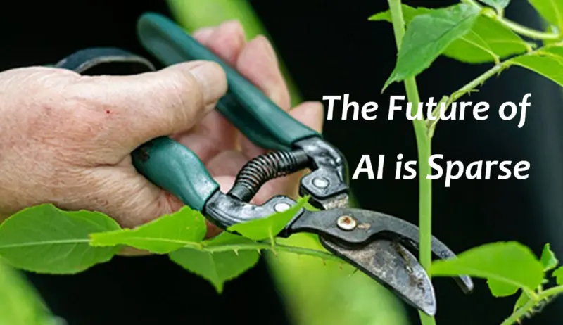 稀疏：AI的未来