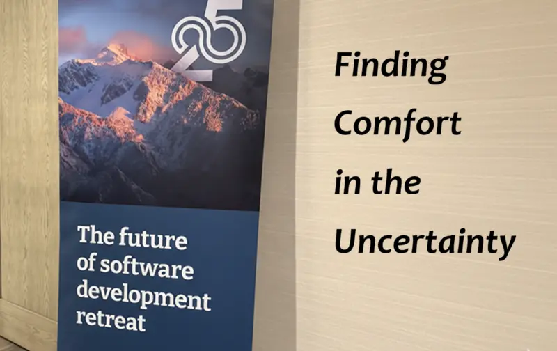 在不确定性中找到慰藉