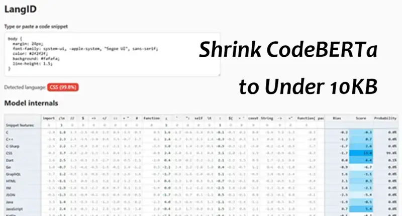 将CodeBERTa压缩到10KB以下