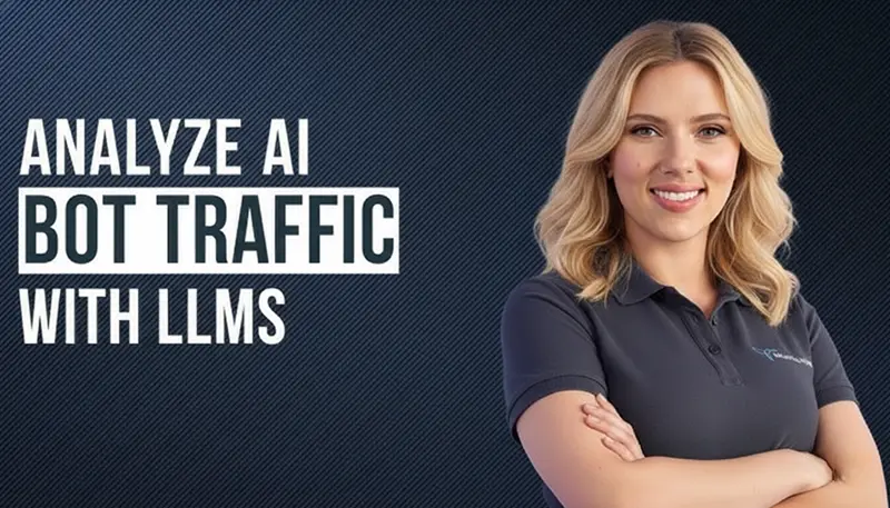 用LLM分析AI机器人流量