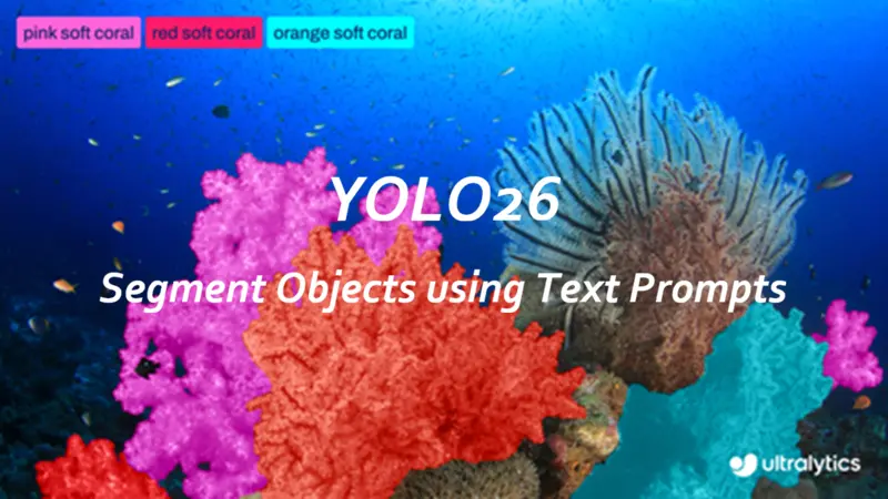 YOLO26：支持文本提示分割