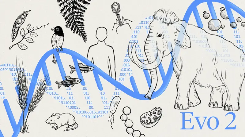 Evo 2 基因组大模型