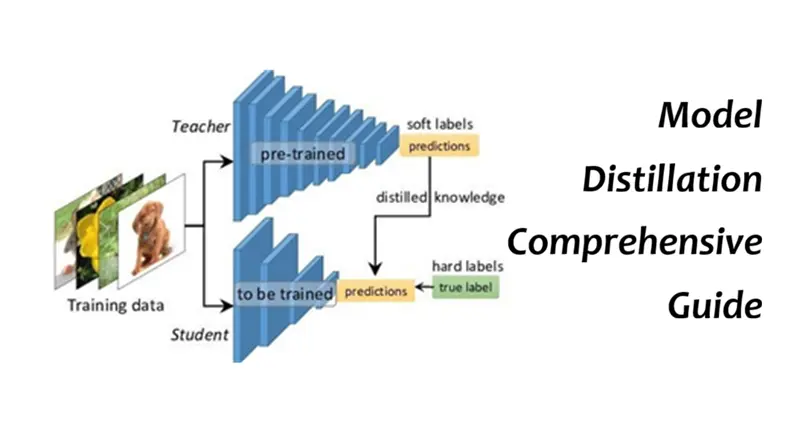 模型蒸馏综合指南