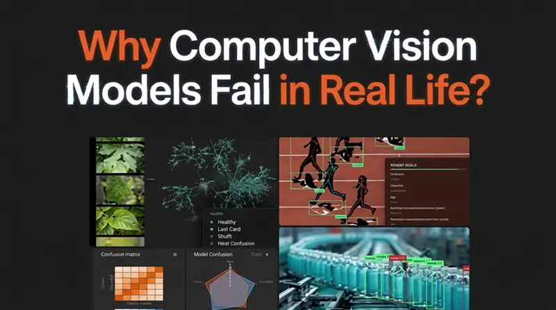 为什么CV模型真实环境表现不佳？
