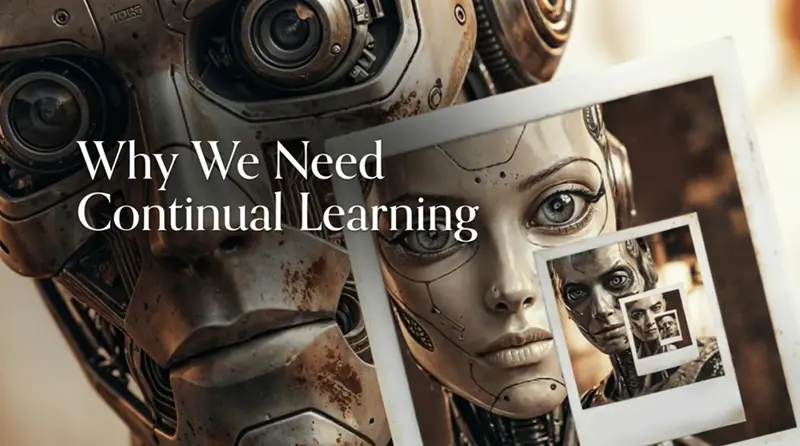 为什么我们需要持续学习